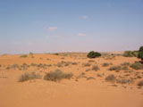 Excursion à Massa