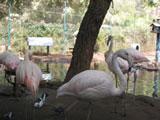La Vallée des Oiseaux