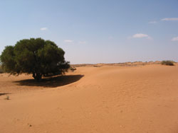 Le désert de sable. Auteur : J.Moreau